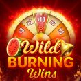 icono Wild Burning wins